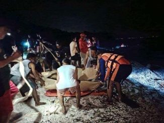 菲律賓遊客遭鯊魚襲擊雙臂切斷2人不幸喪生