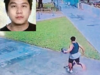 殺死貓咪的中國人因逾期居留遭移民局逮捕並驅逐出境