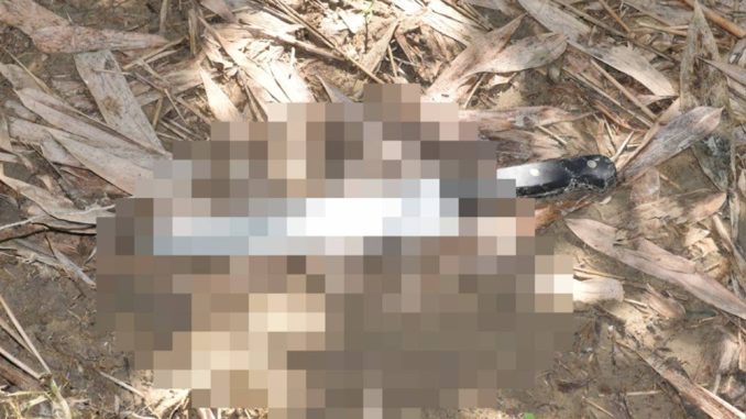 菲律賓男子殺死台灣男後刀丟竹林態度冷靜說詞避重就輕