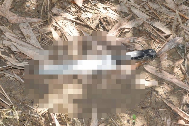 菲律賓男子殺死台灣男後刀丟竹林態度冷靜說詞避重就輕