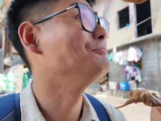 從垃圾堆撿出再炸菲律賓貧民吃二手炸雞網紅驚呆揭口感