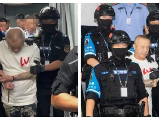 在菲自己人綁自己人犯罪模式殺人等暴力犯罪集團核心人物落網
