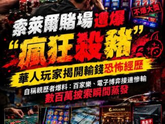 索萊爾賭場遭爆瘋狂殺豬華人玩家揭開輸錢恐怖經歷