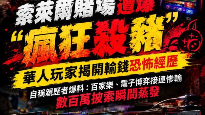 索萊爾賭場遭爆瘋狂殺豬華人玩家揭開輸錢恐怖經歷