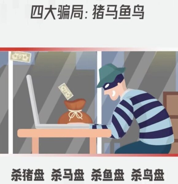 殺豬盤殺馬盤殺魚盤殺鳥盤這四種騙局你分得清嗎